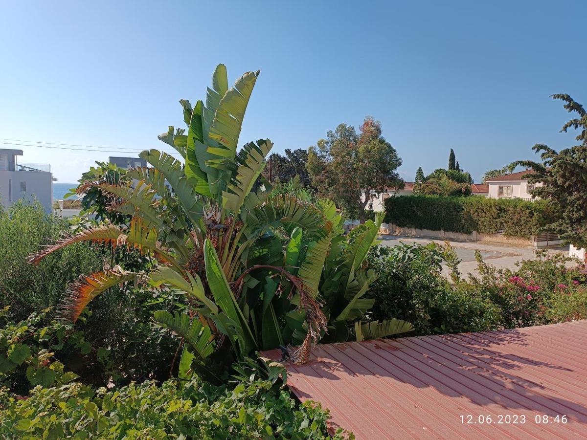Ferienhaus_Familykrausz Perivólia Esterno foto